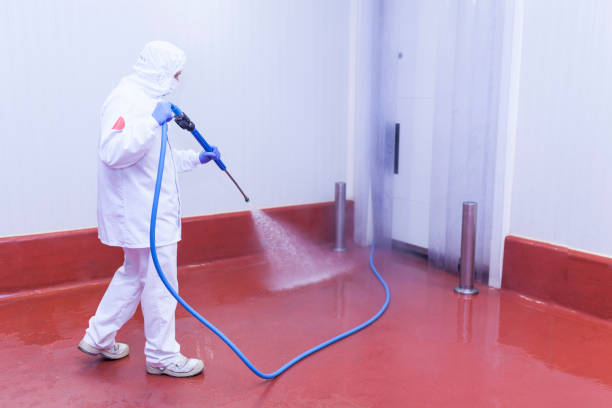 Best Solar Panel Cleaning  in Red Lion, PA